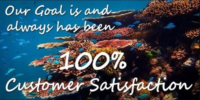 Buy Auto Water Change System at Best Price: Buy Auto Water Change System at Best Price