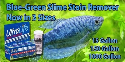 Buy Auto Water Change System at Best Price: Buy Auto Water Change System at Best Price