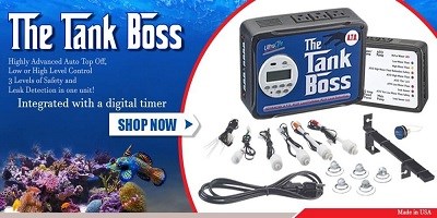 Buy Auto Water Change System at Best Price: Shop Ozone Ballasts for Sale at Best Price
