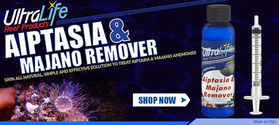 Buy Auto Water Change System at Best Price: UltraLifeDirect